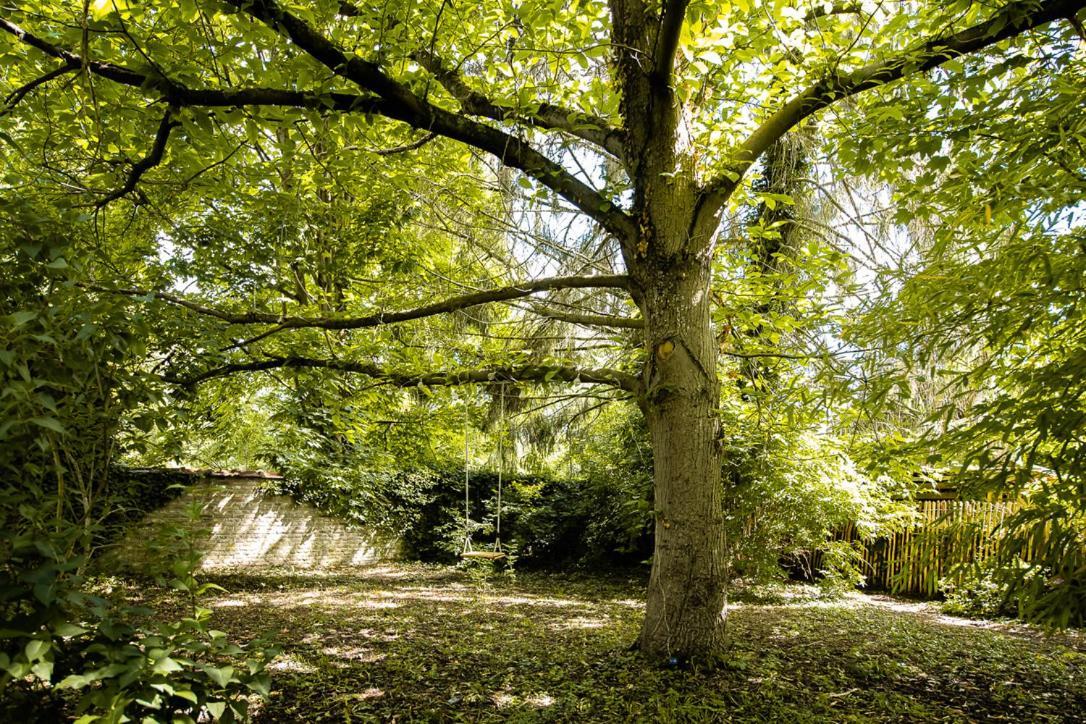 Le Gite Du Jardin Des Secrets Namur Ngoại thất bức ảnh